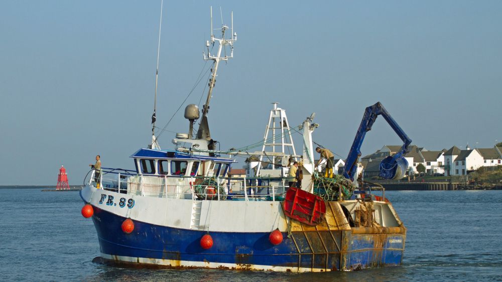 EU Calls for Better Enforcement of Fisheries Laws - The Maritime Executive