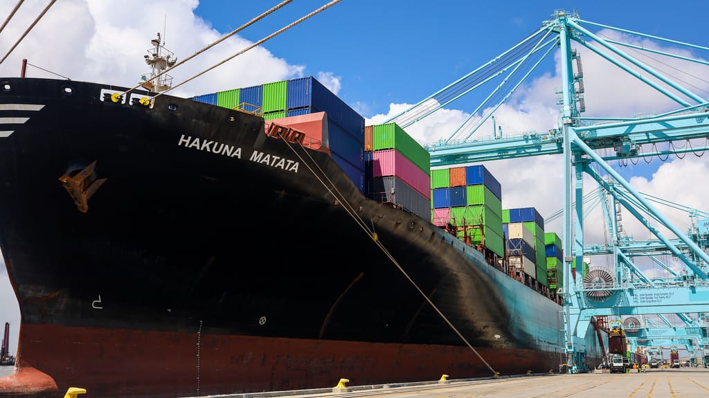 SeaLead was used by Iranian sanctions-busting networks but appeared legitimate, even running sailings to Jacksonville with its 6,661 TEU container ship Hakuna Matata (JAXPORT press handout, 2022)