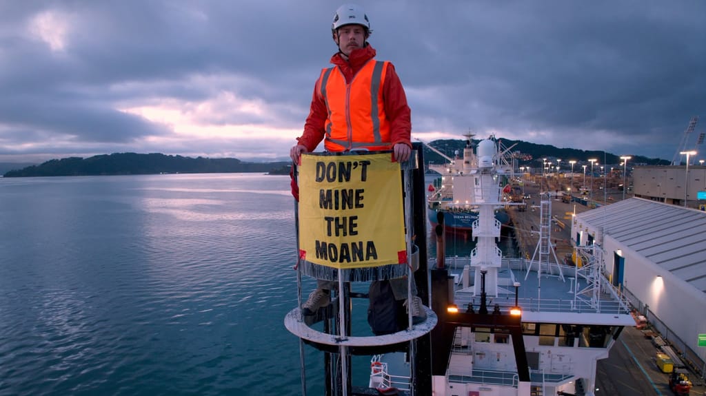 Greenpeace activist