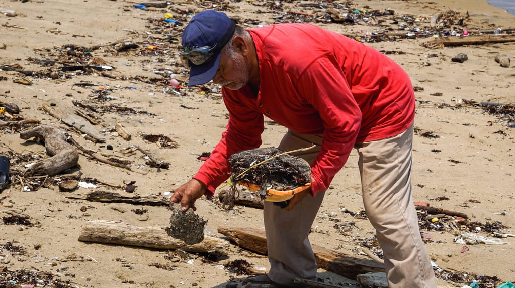 Locals clean Agua Dulce beach in the municipality of Lerdo de Tejada, Veracruz state, Mexico. The state oil company Pemex reported 798 pipeline spills and leaks to its financial regulators during 2014-2025 (Image: Rodrigo Soberanes)