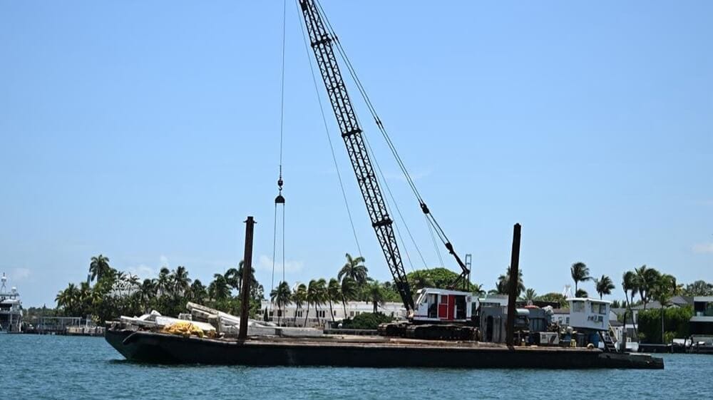 Wood Chuck