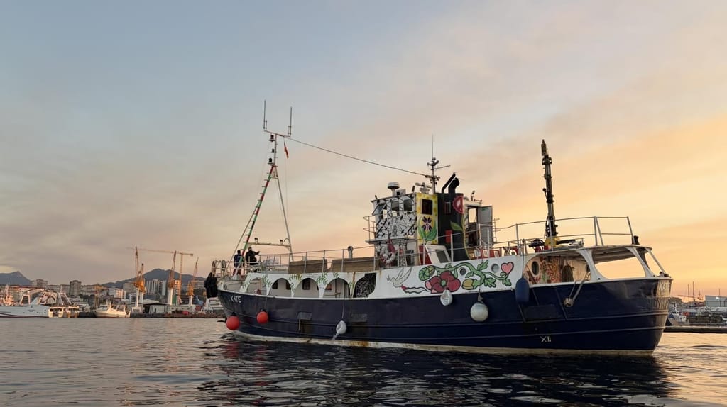 Mechanical issues have forced the flotilla to pause (press handout image courtesy Freedom Flotilla Coalition)