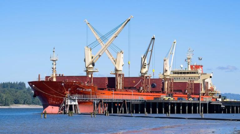 The bulker Gloris, seen here under a previous name in 2023, allegedly moved Iranian goods after her owning company was registered by Karnakis and Karnakis (VesselFinder / Tony Roberts file image)