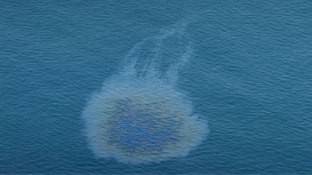 Persian Gulf oil spill
