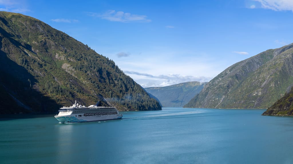 Cruise