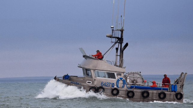 bristol bay