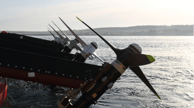 Photo courtesy of Sustainable Marine