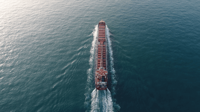 Nukumi features the first Direct Drive Electric solution from Berg Propulsion to be installed on a bulk carrier