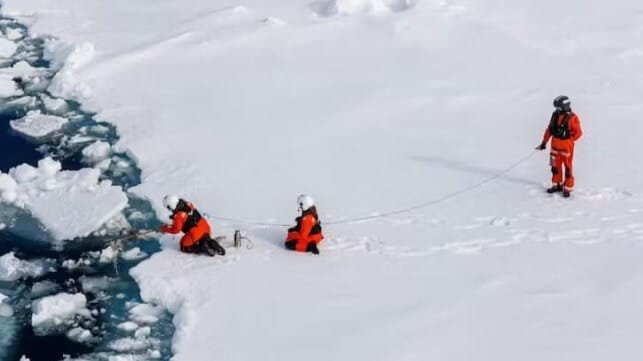 Ice algae sampling on an Arctic ice floe. Mario Hoppmann/Alfred Wegener Institute, CC BY-NC-ND
