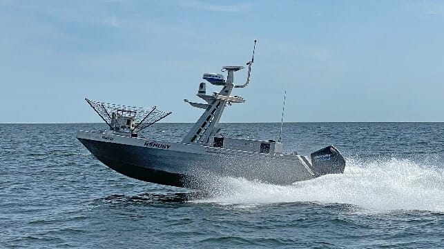 Metal Shark