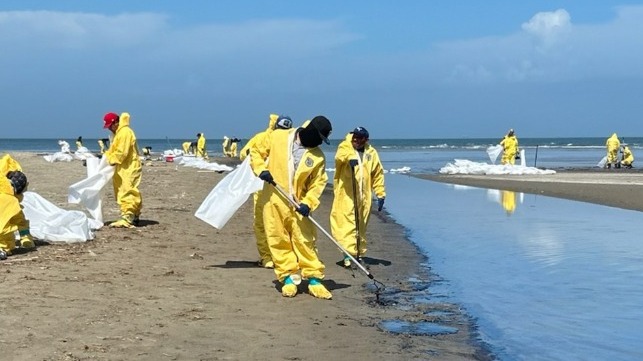 Spill cleanup under way on shore near LOOP (USCG)