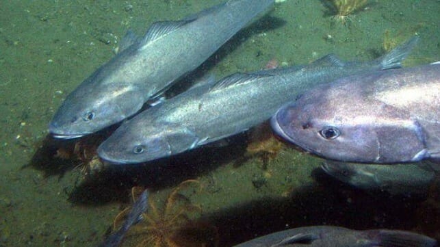 NOAA