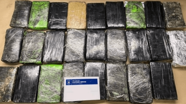 Tauranga cocaine seizure