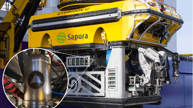 Sapura