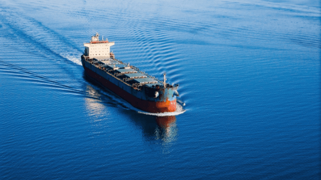 International Association of Dry Cargo Shipowners (INTERCARGO)