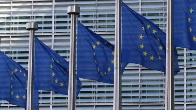 EU flags