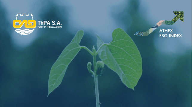 ThPA S.A.