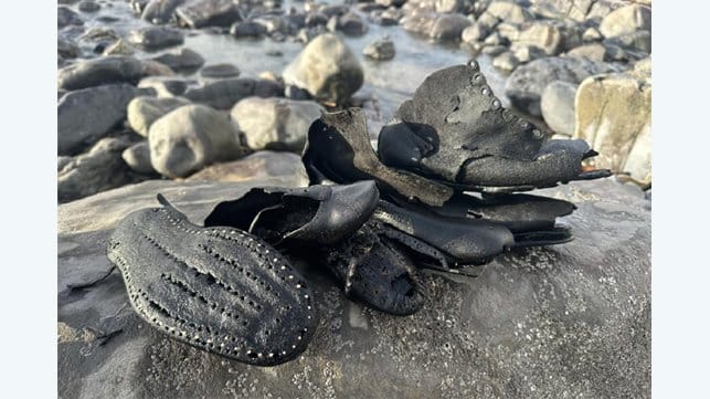 Victorian-era shoes