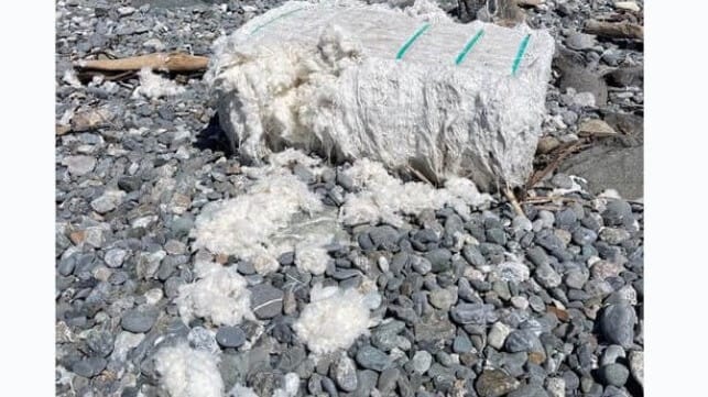 beach debris