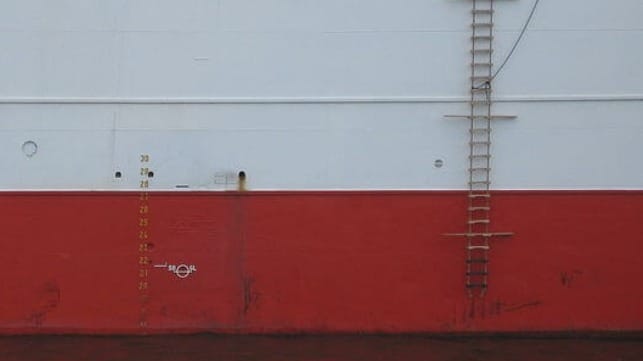 Pilot ladder