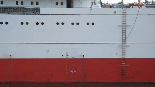 Pilot ladder