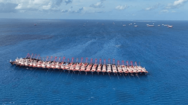 A line of Chinese maritime militia trawlers moored at Whitsun Reef (PCG)