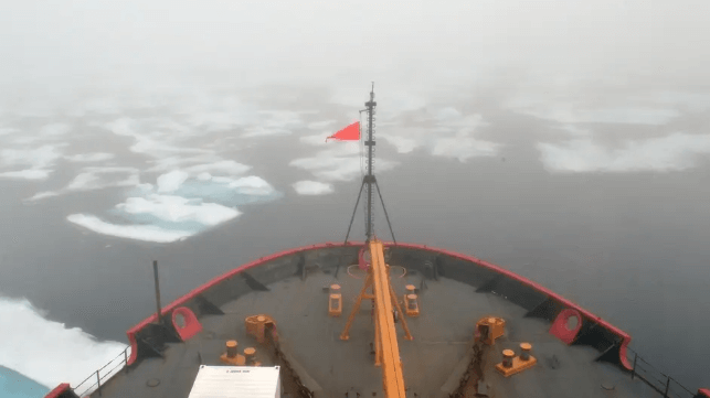 Foggy day in the Arctic