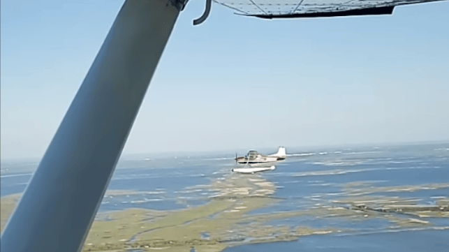 united cajun navy