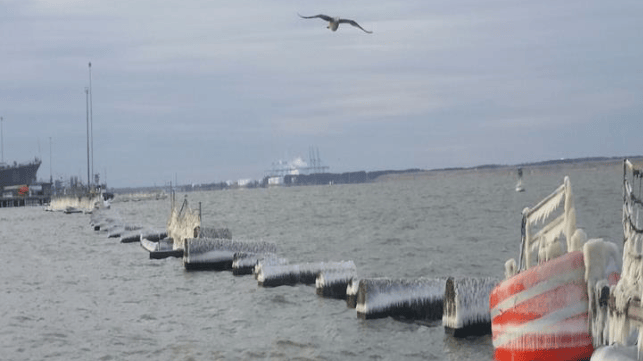 port security barrier