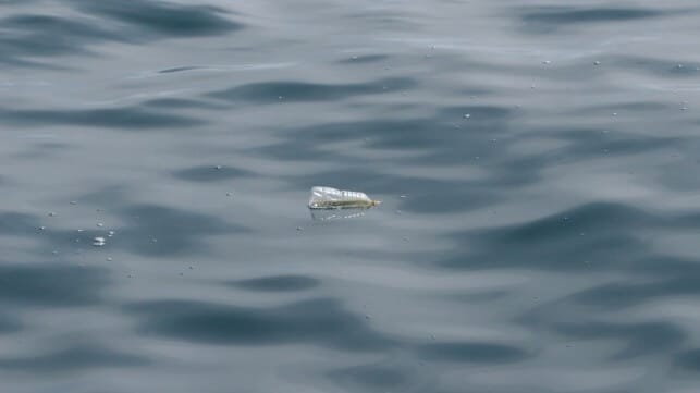 Plastic bottle