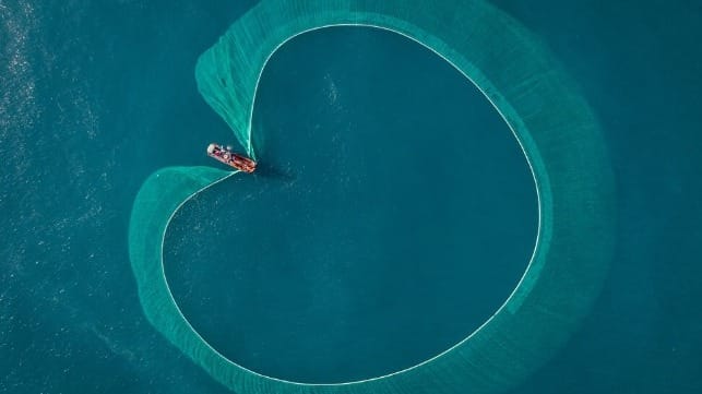 Purse seiner fishes for anchovies off Vietnam (iStock / Pham Hung)