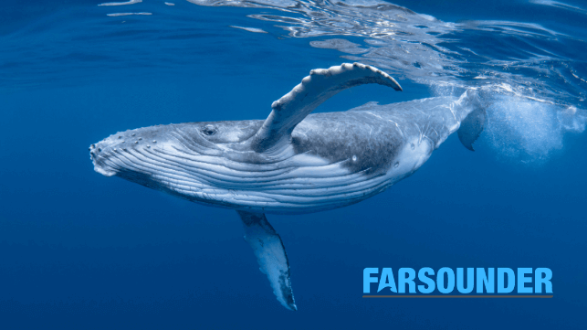 FarSounder