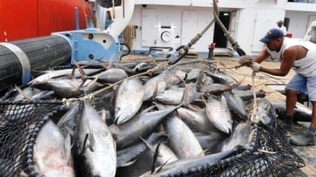 Tuna