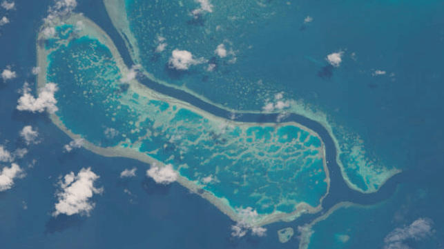 Reefs 