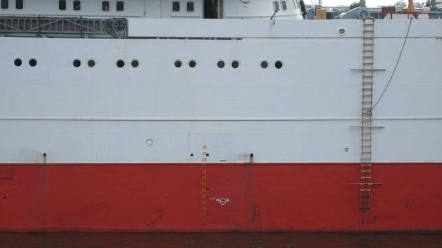Pilot ladder