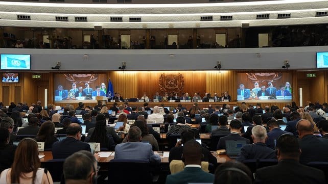 IMO International Maritime Organization