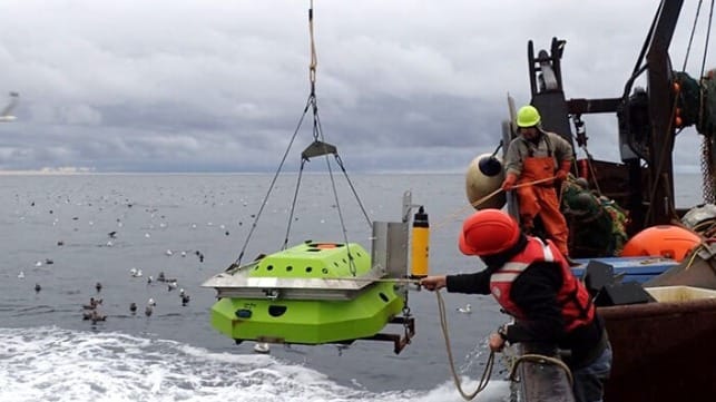 NOAA Fisheries personnel deploy a fish sensor mooring in the eastern Bering Sea (NFMS file image)