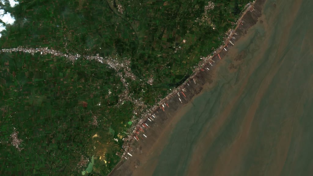 Shipbreaking yards at Alang (NASA file image)