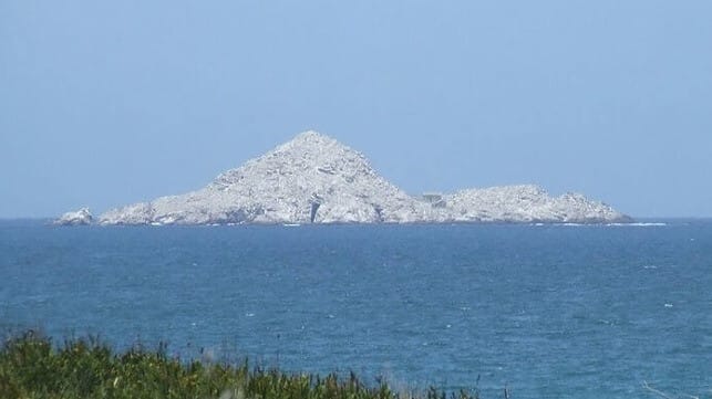 St. Croix Island, Algoa Bay, is the last major refuge of the African penguin (Andre W / CC BY SA 2.0)