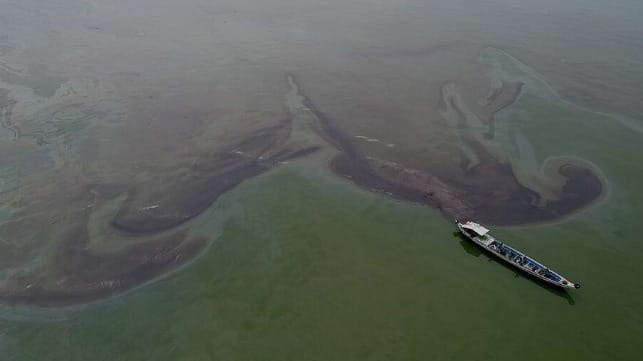 A thick layer of oil floats on the water at the north end of Manila Bay (Copyright Noah Celis / Greenpeace Philippines)