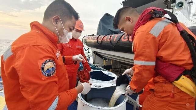 oil clean up