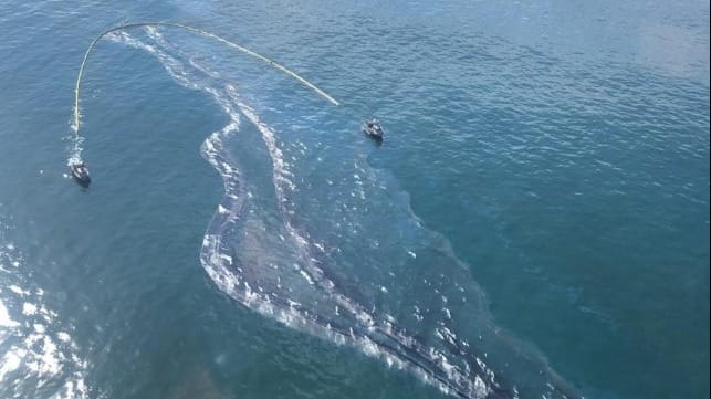 MSC and COSCO sued for causiing California oil pipeline leak
