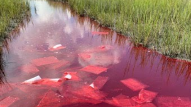 dye