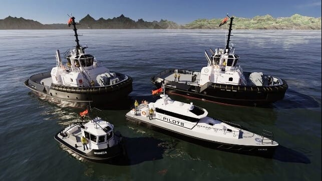 Damen Shipyards Group