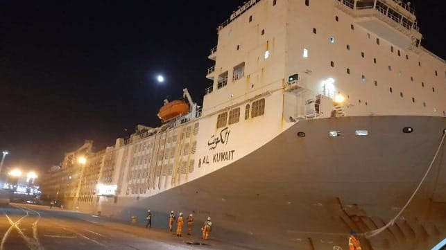 Livestock carrier 