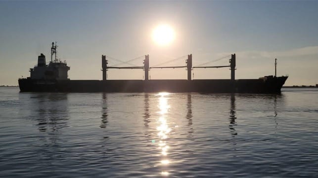 bulker at sea