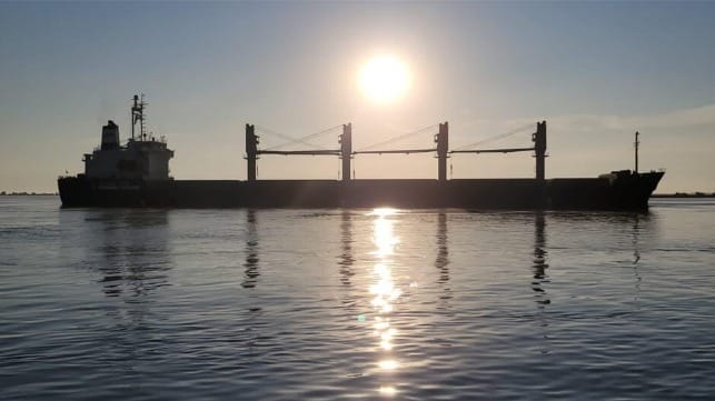 Bulker at sea