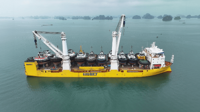 Damen Shipyards Group