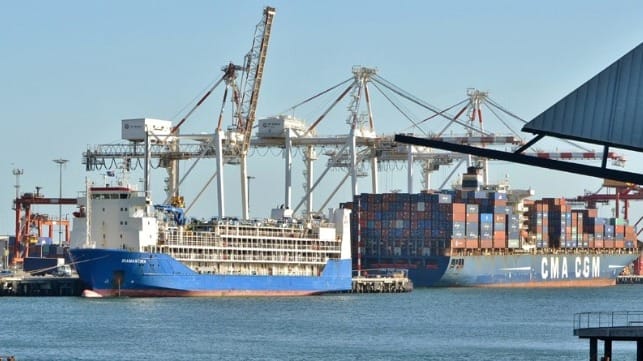 crew member on livestock carrier tests positive for COVID-19