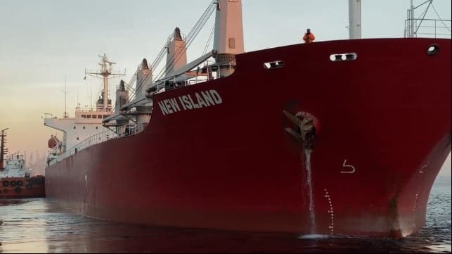 Ukraine gain exports